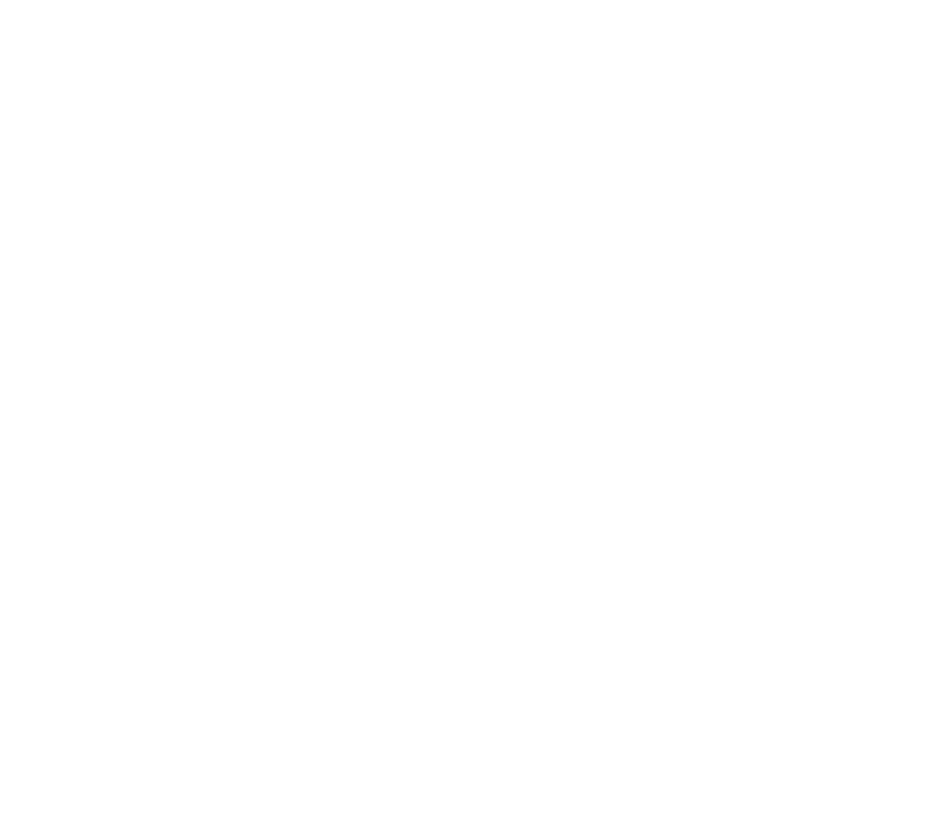 Lenses Up Walls Down logo